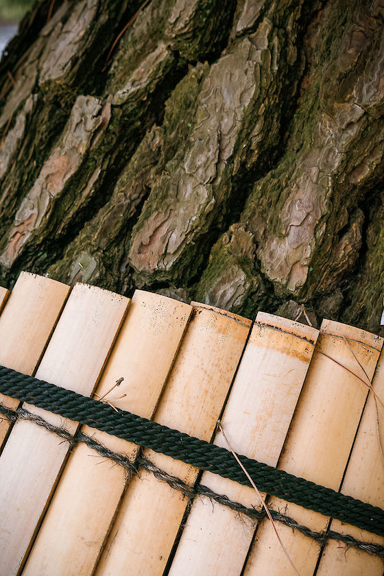 Sheathed tree in the samurai quarter, Matsue, Japan | © Matt Giraud Photography