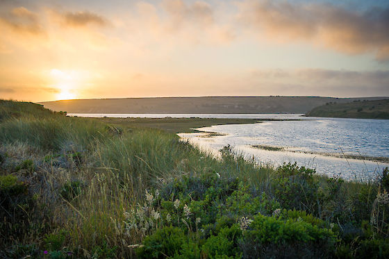 Golden hour, Limantour Beach, Pt Reyes California | © Matt Giraud Photography | © Matt Giraud Photography