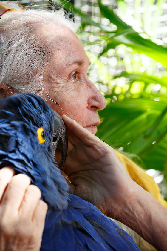 Nancy Forrestor, the parrot savior of Key West | © Matt Giraud Photography