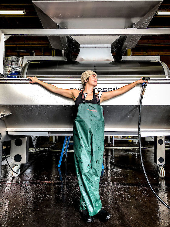 | © Matt Giraud Photography