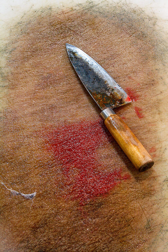Korean Fish Market, Busan, South Korea | © Matt Giraud Photography