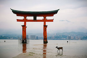 The Great Torii on Miyajima, Japan | © Matt Giraud Photography