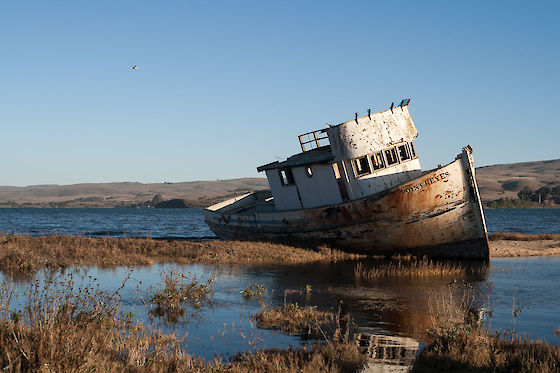 Shipwreck on the edge of Tomales Bay, Inverness, California | © Matt Giraud Photography