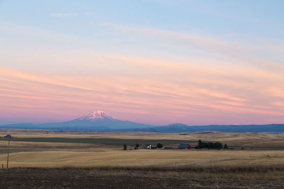 | © Matt Giraud Photography